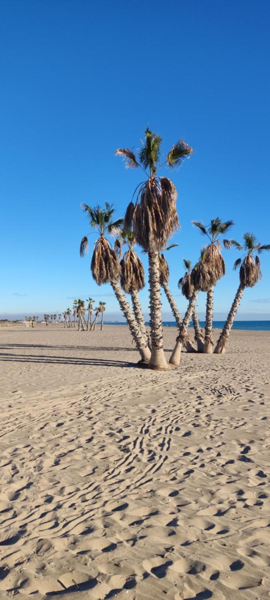 شقة Balcon Del Mar كانيت ذي بيرينغير المظهر الخارجي الصورة